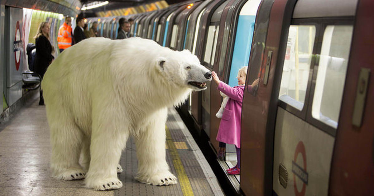 polar-bear-in-london1.jpg