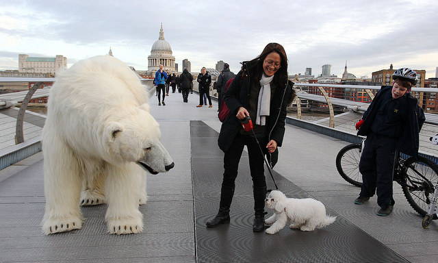polar-bear-in-london3.jpg